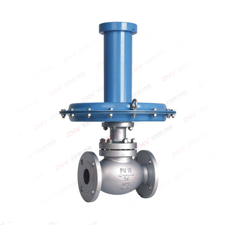 ZZVP自力式泄氮阀