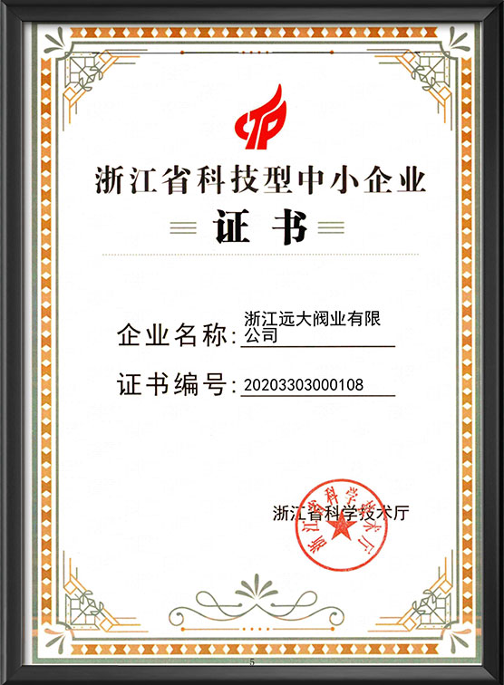 浙江省科技型中小企业这书