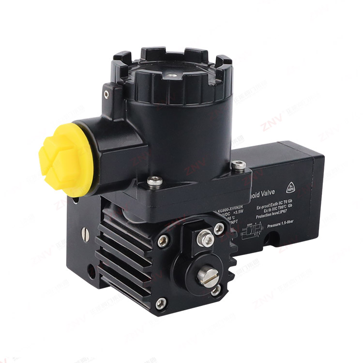 YD800-XNM防爆电磁阀